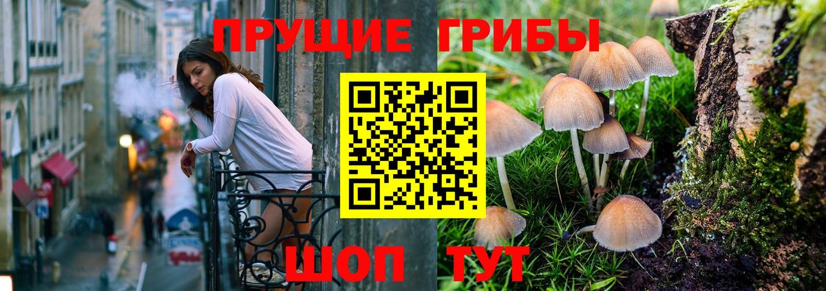 Глазов  Псилоцибиновые грибы мухоморы  Псилоцибиновые грибы Psilocybine cubensis  Вход с VPN 