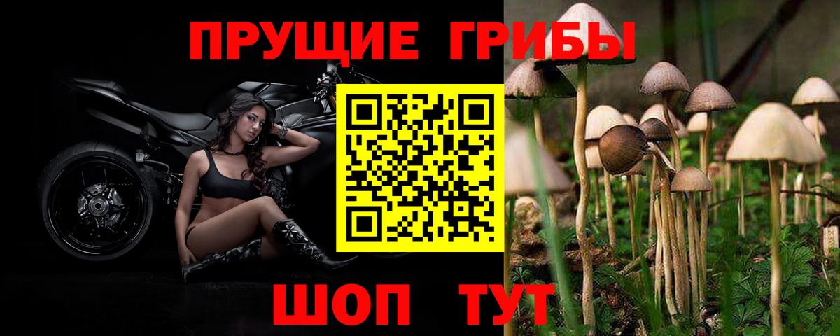 Галлюциногенные грибы MAGIC MUSHROOMS Глазов